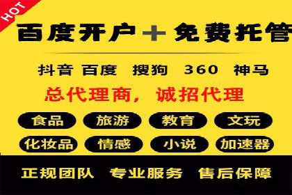 SEM托管优化案例：打造精准广告投放策略